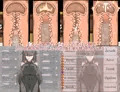 新作NTRRPG「Lunatic Scarlet Eyes」発売