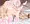 妹のエロ漫画借りようと部屋に入ったらセルフ緊縛してたのでお手伝いした話