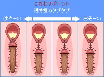 こだわりポイント