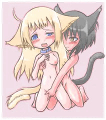 ねこねこ。