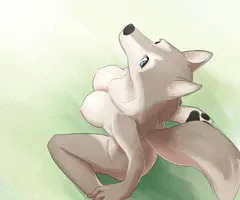 座りいぬ