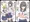 虫を入れて遊ばれる