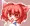 ぺろぺろ子犬