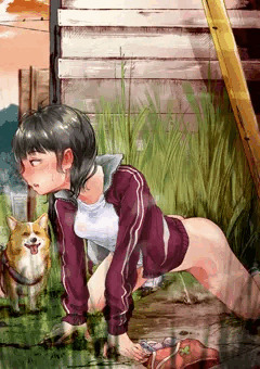 犬の散歩2