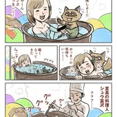 風呂入って寝るポン