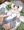交尾ごっこしたいすぎる12