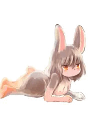 スミスアカウサギ化