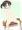 ほうかご撮影会1