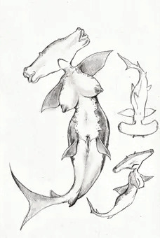 オナホヘッド人魚