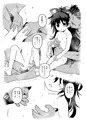 第十回博麗神社秋季例大祭新刊「おめぐみっ！しおんちゃん！」サンプル