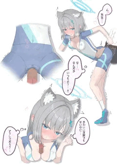 シロコライディング