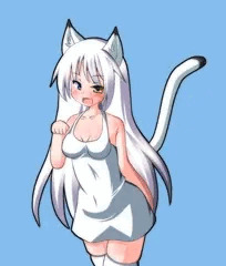ねこ