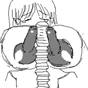 乳棒噴乳