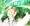 蜘蛛娘さん　一人前になる為に
