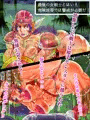 敗北する女戦士 DLsiteで販売中
