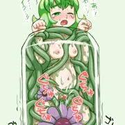 観葉植物
