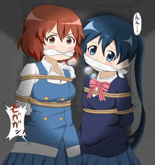 陽子と綾