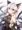 ヘルエス様