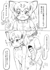 スナネコに交尾させてくれと頼んでみた