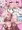 アナルしゃぶられるゆかりさん葵ちゃんまとめ