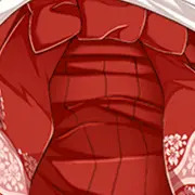 担いで倒して即挿入