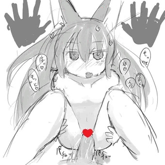赤狐のキカちゃん２