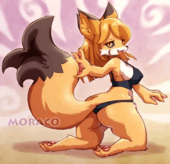 怪しいキツネのモラコちゃん