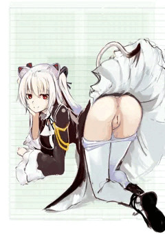 のら様白タイツ(おドブ）
