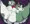 ８月ポケエロまとめ