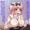 雲雀ちゃん