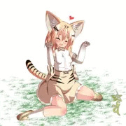 媚びる事を覚えたスナネコ