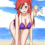 便乗してみた。