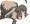 ラミアフェラ