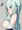 すなおっぱい