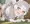 交尾ごっこしたいすぎる7