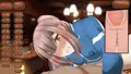 きじょーいGIF