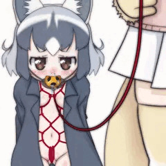 アライさ～ん散歩に行こうねぇ
