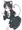 音夢ちゃん！