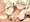 エルフ姉妹によるフェラ攻撃