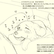 愛犬マシェリの性事情