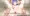 園田海未(エロゲ風)