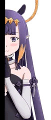 いなにす