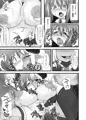 煌盾装騎エルセインVol.13 Succubus Flirtation