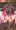 サンプル画像