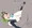 ブルアカ