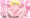 笑顔の魔法