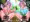リク絵　（空栗ヒトハ/フタバ　スカ絵）