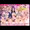 催眠洗脳アイドル学園５でたよ～