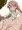 ｻｷﾊﾞｼﾙ