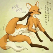 タテガミオオカミ（？）のジュンちゃん